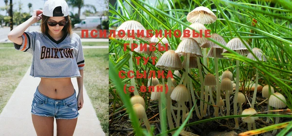 марки nbome Козловка