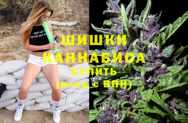 винт Коряжма